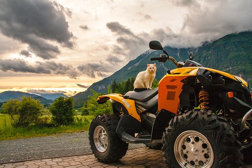 Quels sont les critères pour mieux choisir un quad homologué ?